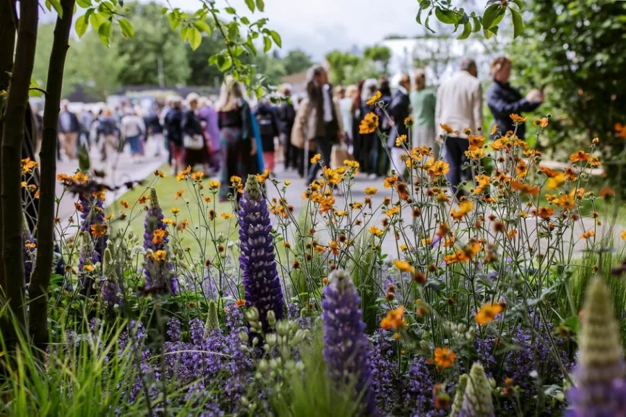 exclusive-chauffeur-packages-for-rhs-chelsea-flower-show-2024